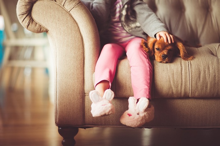 What central heating system is right for my home?